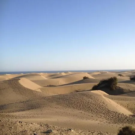 In Maspalomas Near Golf & 別荘 *