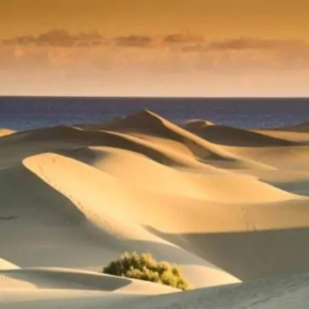 In Maspalomas Near Golf & *