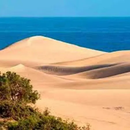 Dom wakacyjny In Maspalomas Near Golf & *
